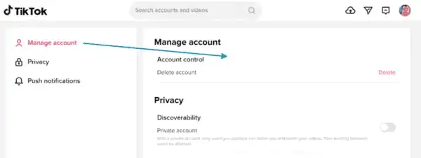 Delete-TikTok-account