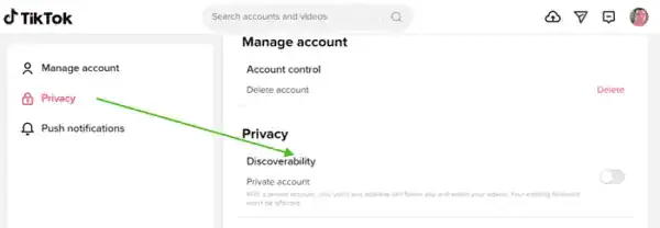 Private-TikTok
